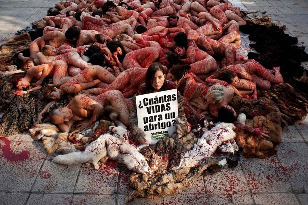 Activistas de AnimaNaturalis protestando en la Plaza de España, Madrid. Fotografía: Dani Pozo.