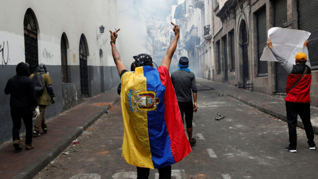 Un manifestante con la bandera ecuatoriana en una protesta contra el presidente. Fotografía: Henry Romero.