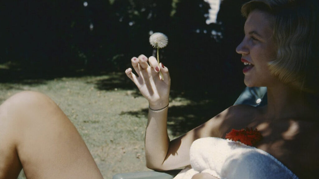 El 11 de febrero de 1963, a los 30 años de edad, Sylvia Plath puso fin a su vida. Fotografía de archivo.